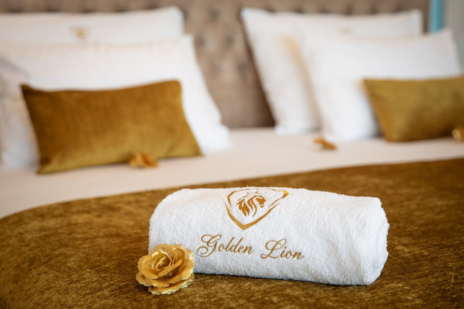 villa-golden-lion-042